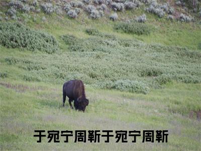 于宛宁周靳全文免费阅读大结局-于宛宁周靳结局免费阅读