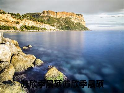 苏欣季晟硕（苏欣季晟硕）全文免费阅读无弹窗完整版，（苏欣季晟硕）免费阅读全文最新章节列表_笔趣阁