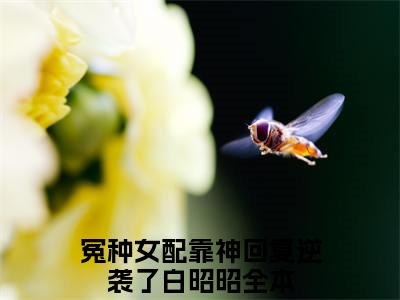 冤种女配靠神回复逆袭了白昭昭小说（冤种女配靠神回复逆袭了白昭昭）全文免费阅读结局-冤种女配靠神回复逆袭了白昭昭强推全文阅读无弹窗