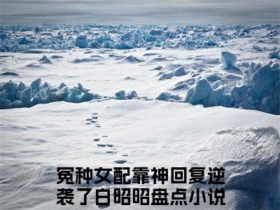 高赞小说冤种女配靠神回复逆袭了白昭昭（冤种女配靠神回复逆袭了白昭昭小说免费阅读）完结阅读_冤种女配靠神回复逆袭了白昭昭全文免费阅读最新章节大结局