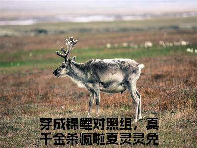 穿成锦鲤对照组，真千金杀疯啦夏灵灵免费正版小说完整版阅读-穿成锦鲤对照组，真千金杀疯啦夏灵灵最新章节在线阅读