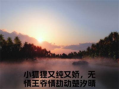 小狐狸又纯又娇，无情王爷情劫动楚汐晴小说免费阅读 小狐狸又纯又娇，无情王爷情劫动楚汐晴免费阅读无弹窗小说