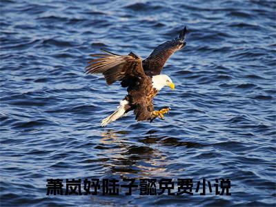 萧岚妤陆子懿全本资源（萧岚妤陆子懿）全文免费阅读无弹窗大结局_萧岚妤陆子懿最新章节列表（萧岚妤陆子懿）