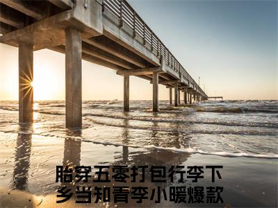 新书热荐胎穿五零打包行李下乡当知青李小暖全文免费阅读无弹窗大结局-小说胎穿五零打包行李下乡当知青李小暖全文完整版免费阅读