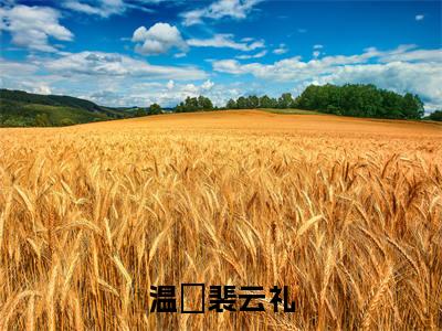 温姀裴云礼（温姀裴云礼）全文免费阅读无弹窗大结局_（温姀裴云礼）最新章节列表笔趣阁（温姀裴云礼）