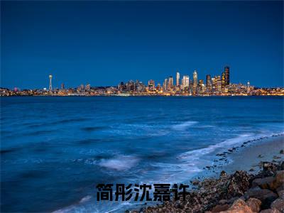 简彤沈嘉许（简彤沈嘉许小说）全文免费阅读无弹窗大结局_简彤沈嘉许小说免费阅读最新章节列表