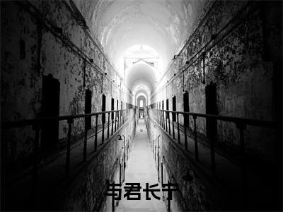 赵长乐与君长宁小说结局-赵长乐全文无弹窗阅读