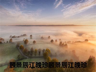 顾景辰江晚珍全文免费在线阅读_（顾景辰江晚珍全文免费阅读无弹窗大结局）