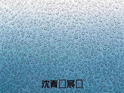 (抖音小说)沈青婈宸玦免费阅读沈青婈宸玦在线阅读大结局