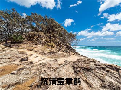 沈清莹章鹤抖音新书热荐沈清莹章鹤-沈清莹章鹤最新小说全文阅读