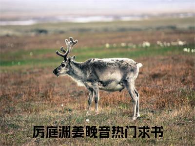 厉庭渊姜晚音（厉庭渊姜晚音）全文免费阅读无弹窗大结局_厉庭渊姜晚音全文在线阅读无弹窗