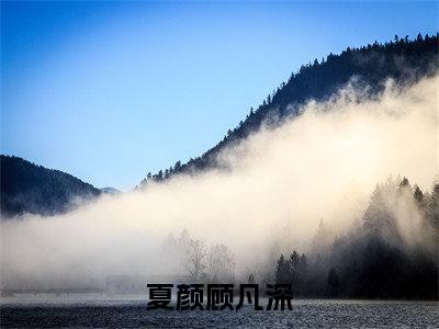 夏颜顾凡深（夏颜顾凡深）免费阅读无弹窗大结局-夏颜顾凡深免费阅读大结局最新章节列表_笔趣阁