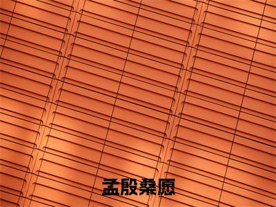 孟殷桑愿后续+番外（孟殷桑愿）全文免费阅读无弹窗大结局_（孟殷桑愿后续+番外）孟殷桑愿免费阅读无弹窗最新章节列表（孟殷桑愿后续+番外）