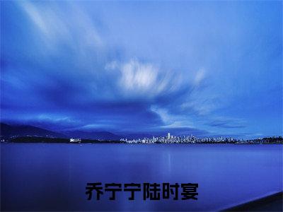 我答应联姻，你安排就好（乔宁宁陆时宴）全文免费阅读无弹窗大结局_乔宁宁陆时宴_笔趣阁