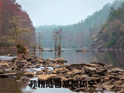 苏槐陆杳宝藏小说推荐苏槐陆杳-苏槐陆杳完整免费阅读小说