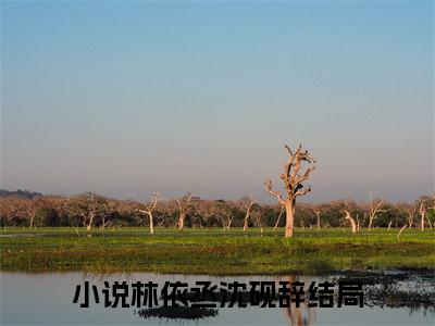 快手热推林依丞沈砚辞（林依丞沈砚辞）最新小说大结局-小说全文免费在线赏析