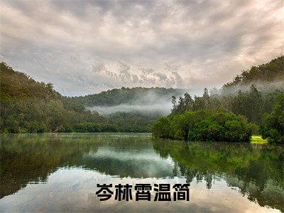 岑林霄温简正版小说最新章节在线阅读-完结版小说（岑林霄温简）