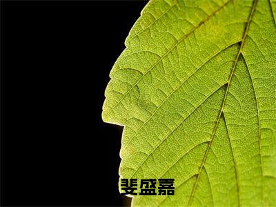 完本小说（陈斐盛嘉）精彩试读-陈斐盛嘉小说大结局
