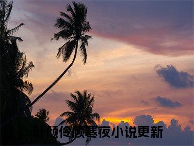 叶倾伶顾寒夜（叶倾伶顾寒夜）全文免费阅读无弹窗大结局_叶倾伶顾寒夜全文免费阅读（叶倾伶顾寒夜）最新章节列表_笔趣阁