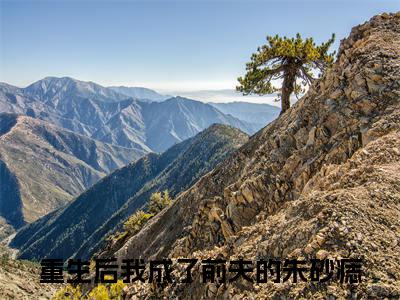 重生后我成了前夫的朱砂痣最新章节（沈烨苏沫）全文免费阅读无弹窗大结局_沈烨苏沫重生后我成了前夫的朱砂痣全文免费阅读