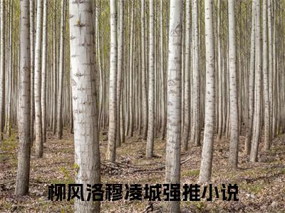 小说柳风洛穆凌城全文阅读-柳风洛穆凌城小说柳风洛穆凌城大结局