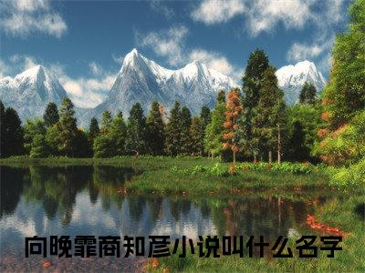 向晚霏商知彦在线阅读（向晚霏商知彦）全文无弹窗大结局_向晚霏商知彦全文在线阅读无弹窗