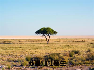 苏星灿杜寒生（苏星灿杜寒生）全文免费阅读无弹窗大结局_苏星灿杜寒生最新章节列表_笔趣阁（苏星灿杜寒生）