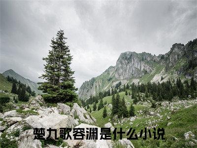 楚九歌容渊免费阅读-（楚九歌容渊）全文免费阅读无弹窗大结局（楚九歌容渊）最新章节列表_笔趣阁