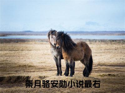 秦月骆安勋(秦月骆安勋)小说免费阅读大结局无弹窗_(秦月骆安勋)最新章节列表笔趣阁（秦月骆安勋）