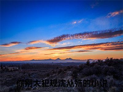 你别太犯规沈从殊小说(你别太犯规沈从殊)全文免费你别太犯规沈从殊阅读无弹窗大结局