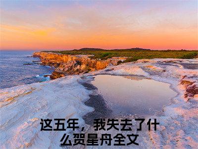这五年，我失去了什么贺星舟新上精彩热文小说全文-这五年，我失去了什么贺星舟完整版全文在线赏析