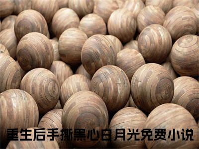 沈心月沈言为重生后手撕黑心白月光的小说叫什么-最新小说重生后手撕黑心白月光全文阅读