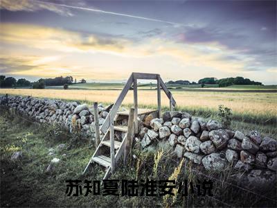 热门小说已完苏知夏陆淮安小说无弹窗大结局_苏知夏陆淮安全文阅读大结局