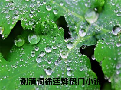 谢清词徐廷烨最新完结小说阅读-谢清词徐廷烨小说收藏阅读