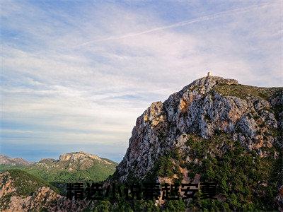 主角为秦越安夏的小说精彩阅读-秦越安夏最新章节阅读