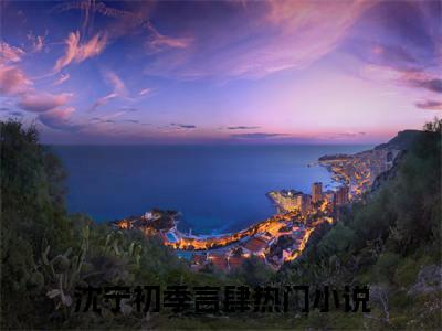 沈宁初季言肆（沈宁初季言肆）小说全文无广告阅读-沈宁初季言肆小说赏析