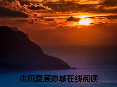 沈初夏顾亦城（沈初夏顾亦城全文免费阅读）完结阅读_沈初夏顾亦城全文免费阅读免费看全文