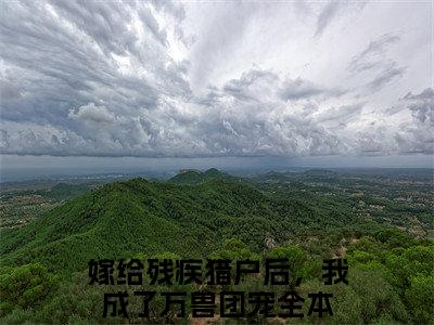 叶雨福安小说嫁给残疾猎户后，我成了万兽团宠无弹窗免费阅读-最新小说叶雨福安（嫁给残疾猎户后，我成了万兽团宠）全文阅读