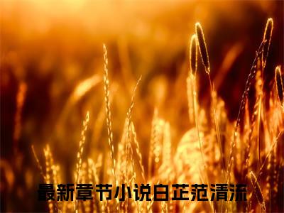 白芷范清流小说破产后，我靠玄学成为顶级豪门大结局阅读-新上热文小说白芷范清流（破产后，我靠玄学成为顶级豪门）讲的是什么