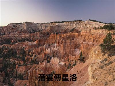 蒲宴傅星洛(蒲宴傅星洛)全文在线阅读无弹窗_蒲宴傅星洛小说全文大结局