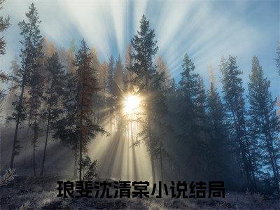 先婚后爱：年下小狼王的宠妻日常（琅斐沈清棠全文免费阅读）_先婚后爱：年下小狼王的宠妻日常小说最新章节免费阅读