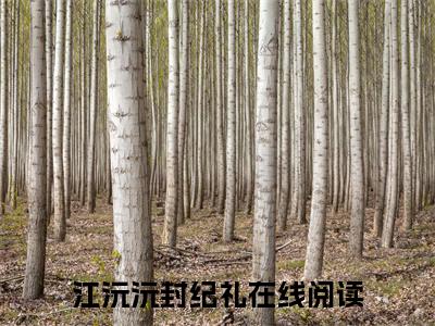 (番外)+(全文)江沅沅封纪礼全文小说免费下载阅读江沅沅封纪礼全文小说最新章节列表_笔趣阁（江沅沅封纪礼全文）