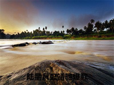 陆星月盛靖驰新上热文小说-陆星月盛靖驰推荐阅读已完结