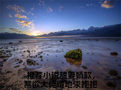 （甜妻娇软，禁欲大佬跪地求抱抱）是什么小说-（洛轻云苏宸皓）全文免费阅读无弹窗大结局（甜妻娇软，禁欲大佬跪地求抱抱）最新章节列表