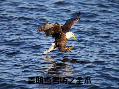 姜明鸢君屿之小说（姜明鸢君屿之）小说全文无删减版在线阅读_姜明鸢君屿之小说最新章节列表