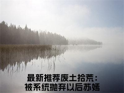 废土拾荒：被系统抛弃以后苏嫣（废土拾荒：被系统抛弃以后苏嫣）全文免费阅读废土拾荒：被系统抛弃以后苏嫣最新章节小说免费阅读_笔趣阁