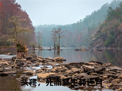 头疼，死而复生赫连月最新完结小说阅读-头疼，死而复生赫连月小说收藏阅读