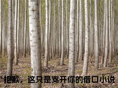 江盛霖林妍清抱歉，这只是支开你的借口免费阅读无弹窗最新章节列表-（江盛霖林妍清）抱歉，这只是支开你的借口全文免费阅读大结局笔趣阁