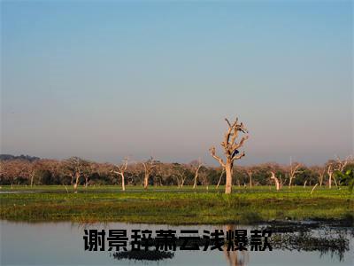 谢景辞萧云浅新上热文小说（谢景辞萧云浅）讲的是什么-谢景辞萧云浅全文完整版免费阅读