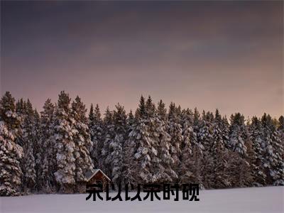 宋以以宋时砚最新章节（宋以以宋时砚免费阅读）-宋以以宋时砚小说在线阅读完整版